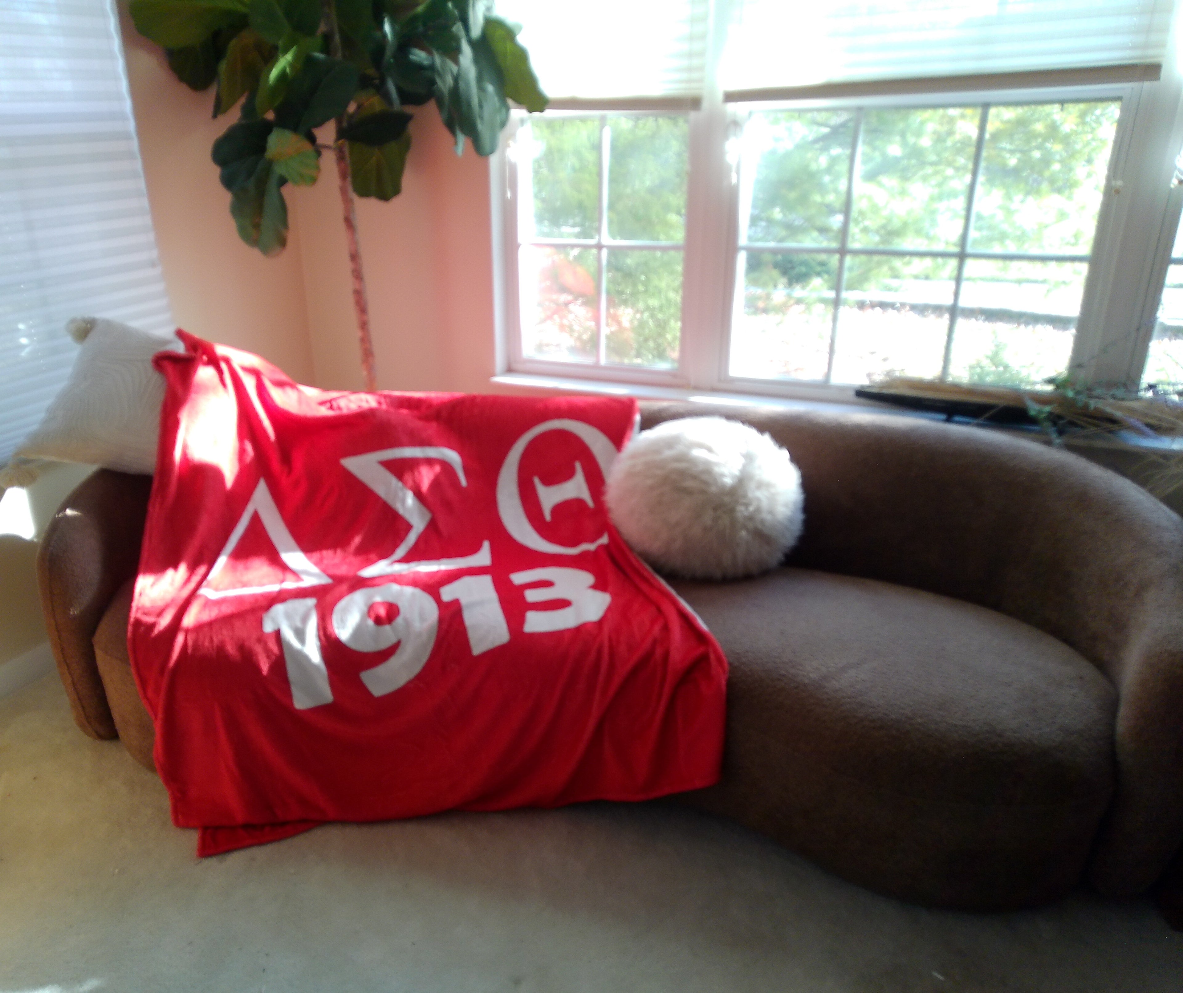 DST Inspired Blanket Throw 50" by 60" For Delta Sigma Theta Women 1913