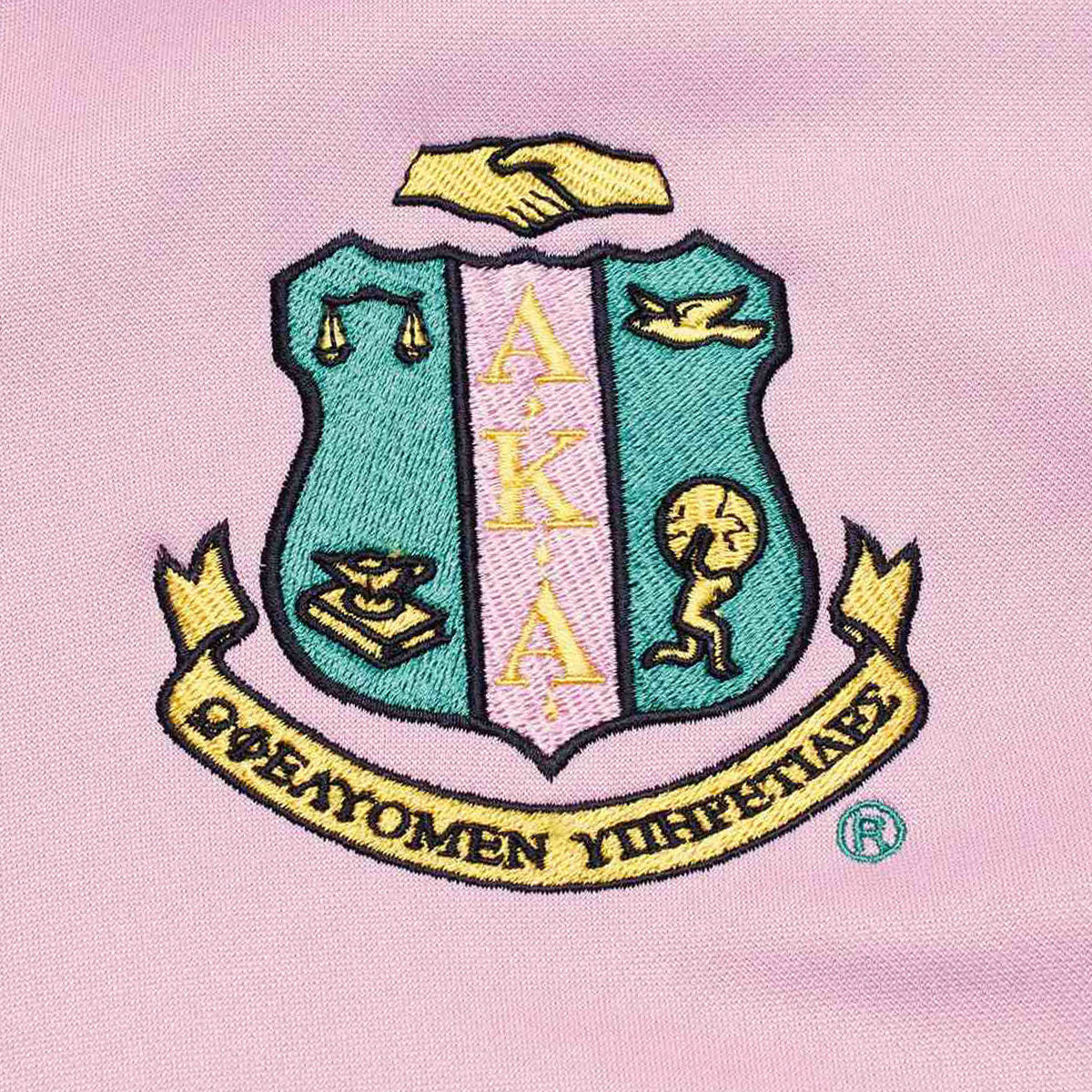 AKA Greek Apparel L Pink Zip Up Track Jacket